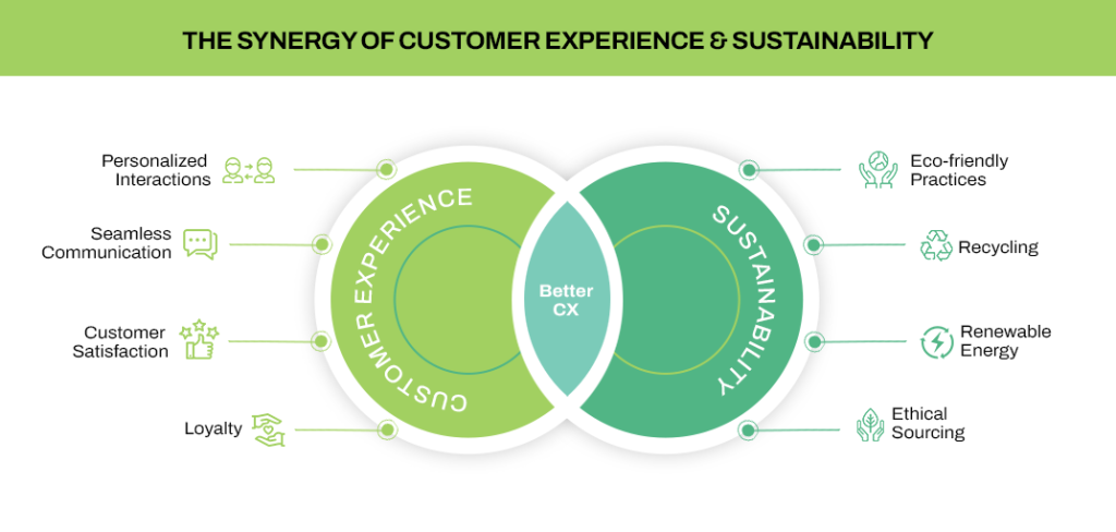 customer experience and sustainability